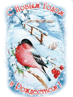 foto_picture_new_year_1 (255x340, 491Kb)