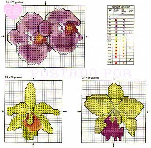 Ponto Cruz Orquídeas  GpB101 (504x493, 65Kb)