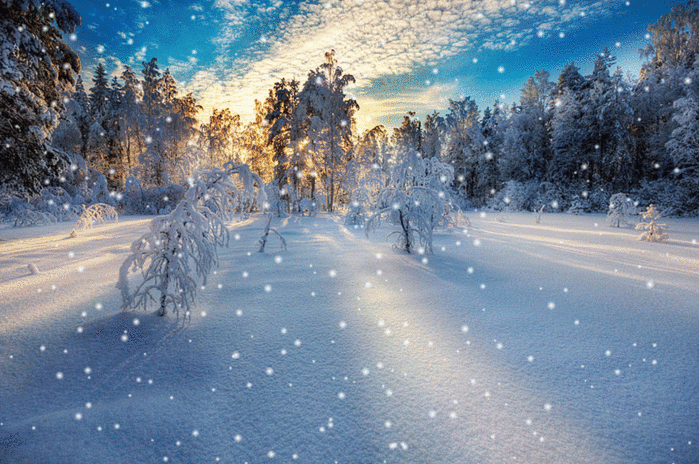 --Gorgeous-Winter-Landscapes-SNOW (700x464, 790Kb)