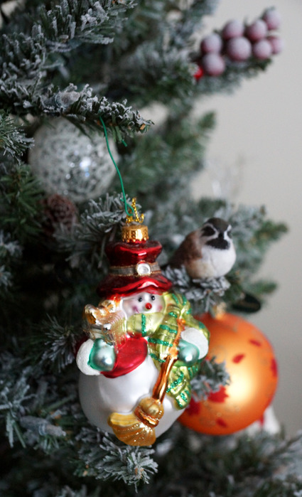 004_edited-1 (425x700, 100Kb)