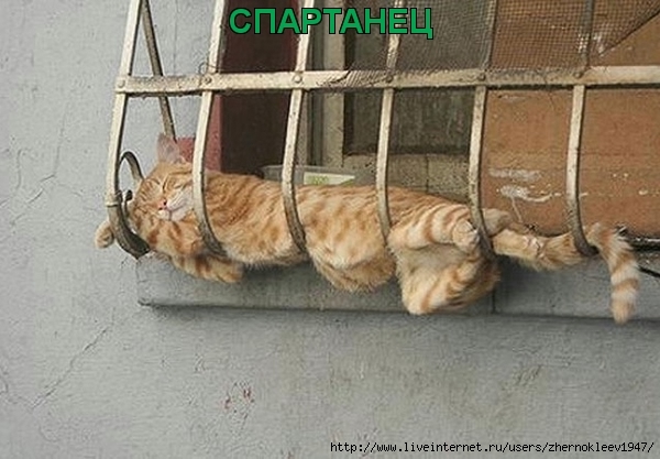 СПАРТАНЕЦ 2 (600x417, 163Kb)
