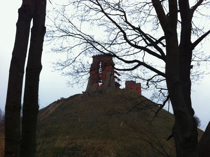 новогрудок зима новый год замковая гора замок/1195798_IMG_5149700 (700x523, 121Kb)