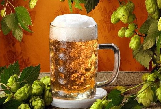 3407372_pivo (557x378, 100Kb)