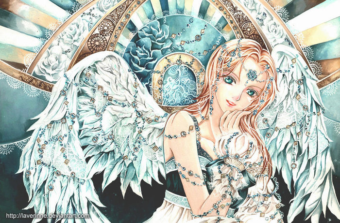 4326608_White_Rose_by_laverinne (700x461, 158Kb)