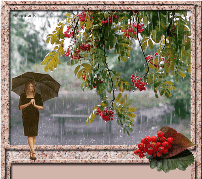 Сегодня целый день шел дождь. Скоро осень за окнами август. Осеннее дождливое утро в саду. Рябина под дождем. Дождливый день сентября.