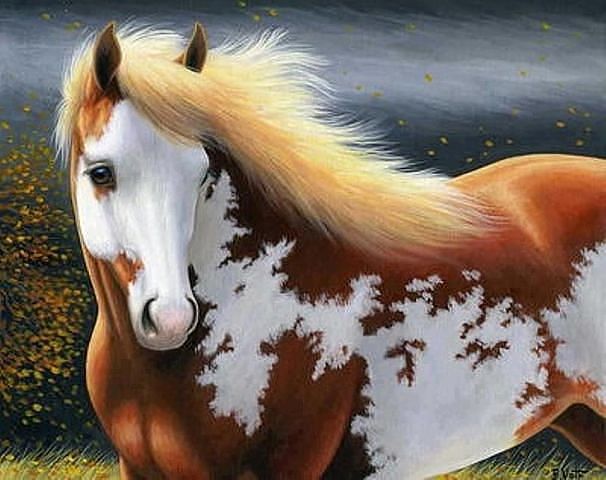 4159622_loshadka2 (606x480, 49Kb)