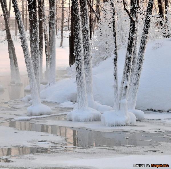 watermark (1) (600x593, 218Kb)