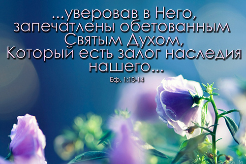 Христианские картинки с текстами ехб, спасибо аллаху все