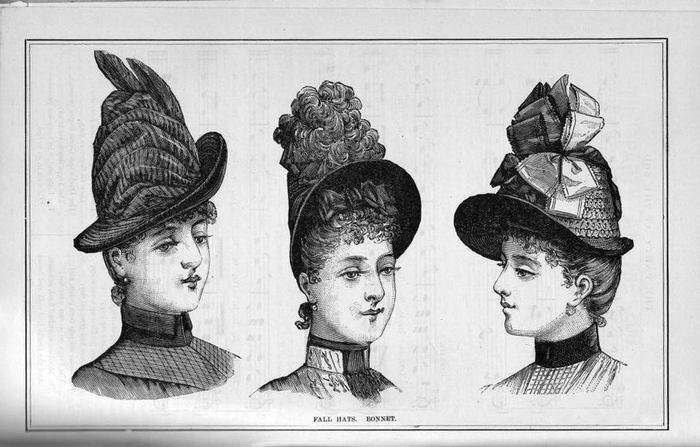 Petersons1888JulDec_0081 (700x447, 198Kb)