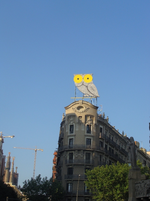 DSC04481 (525x700, 230Kb)