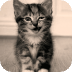 picture-20570-1380634585 (150x150, 44Kb)