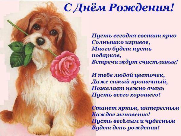 � ���� ���� (600x450, 56Kb)