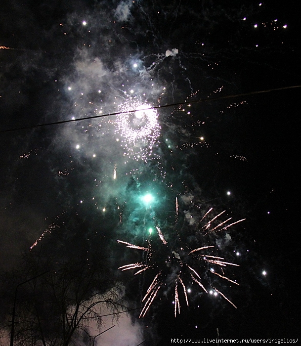 IMG_3592 (609x700, 318Kb)