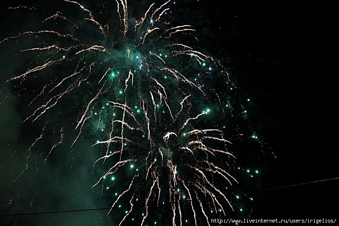 IMG_3658 (700x466, 262Kb)