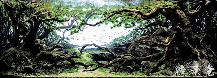 (2) (700x252, 224Kb)