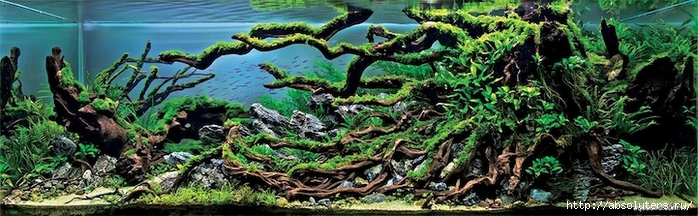(4) (700x216, 203Kb)