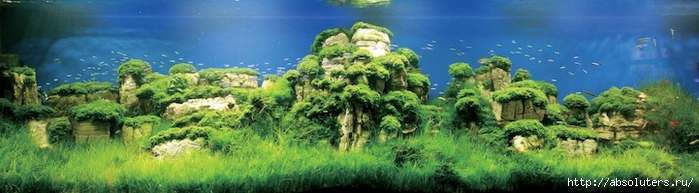 (6) (700x193, 139Kb)