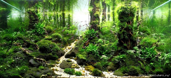(13) (700x320, 282Kb)