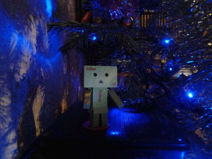 5361707_20140118_23_19_29 (700x525, 275Kb)