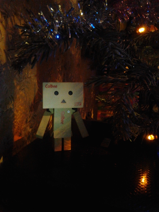 5361707_20140120_23_24_50 (525x700, 216Kb)