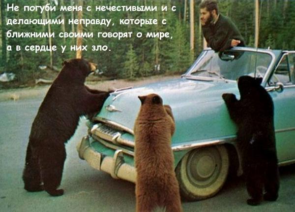 4807239_pic_1 (600x430, 45Kb)