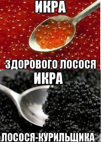   (347x480, 45Kb)