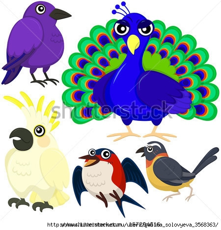 stock-vector-five-colorful-cute-birds-with-white-background-157294616 (450x470, 138Kb)