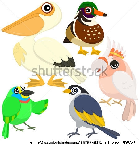 stock-vector-five-colorful-cute-birds-with-white-background-157294622 (450x470, 106Kb)