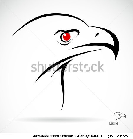 stock-vector-head-of-an-eagle-in-the-form-of-the-stylized-tattoo-135939482 (450x470, 49Kb)