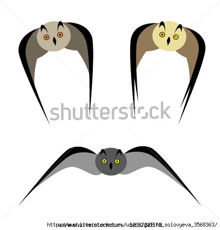 stock-vector-vector-image-of-an-owl-on-white-background-122032870 (450x470, 54Kb)