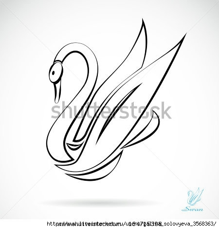 stock-vector-vector-image-of-an-swans-illustration-vector-134715398 (450x470, 66Kb)