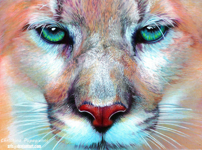 23-lion-hyper-realistic-color-pencil-drawing-by-christina-papagianni (660x490, 360Kb)
