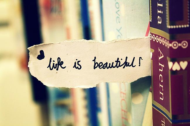 Wallpapers-HD-17 (650x433, 36Kb)