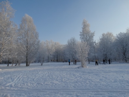 DSC01716_  (438x329, 129Kb)