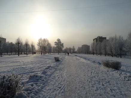 DSC01730_  (438x329, 135Kb)