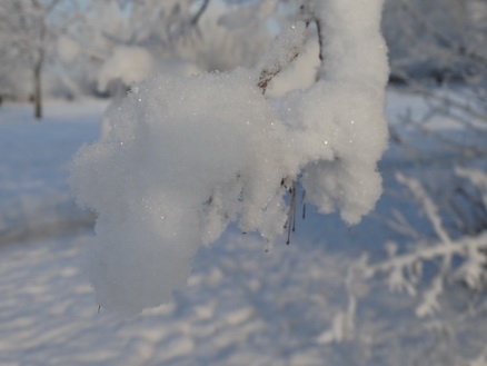 DSC01741_  (438x329, 106Kb)