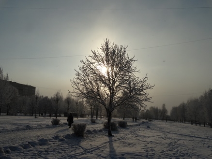 DSC01743_  (438x329, 130Kb)