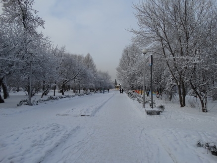 DSC01580 (438x329, 150Kb)