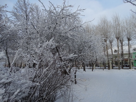 DSC01582 (438x329, 187Kb)