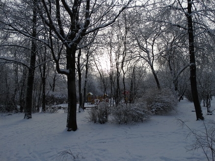 DSC01588 (438x329, 191Kb)