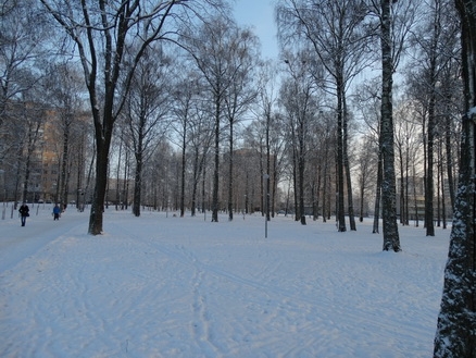 DSC01609 (438x329, 182Kb)