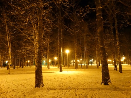 DSC01626 (438x329, 182Kb)