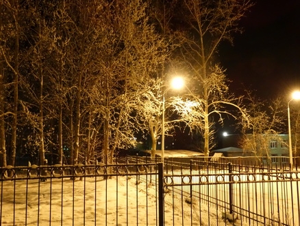 DSC01648 (438x329, 213Kb)