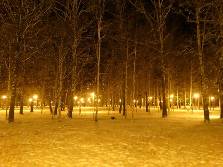 DSC01651 (438x329, 172Kb)