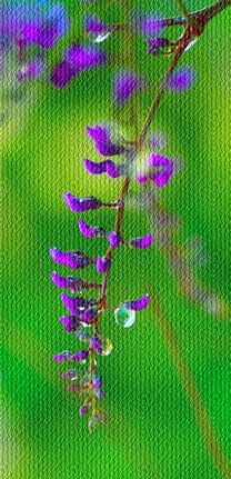 474d6db6777b03aa2c3ca4ccc7cc1d5a (208x431, 106Kb)