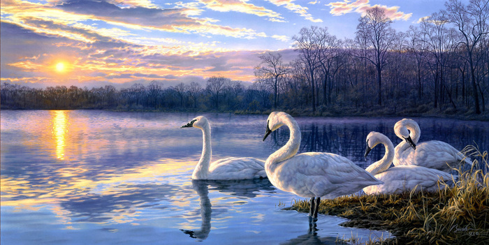 original (700x351, 155Kb)