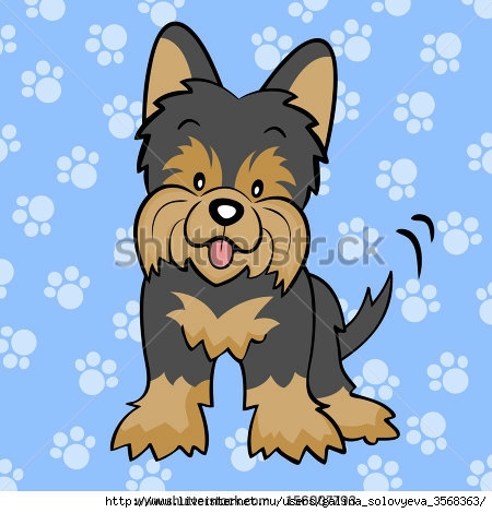 stock-photo-black-yorkshire-terrier-puppy-156007793 (450x470, 119Kb)