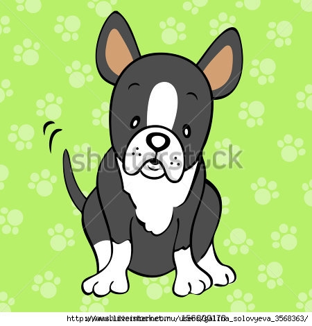 stock-photo-boston-terrier-156000170 (450x470, 95Kb)