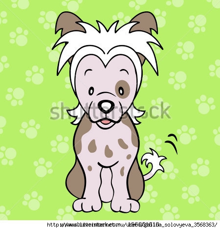 stock-photo-chinese-crested-dog-156001610 (450x470, 108Kb)