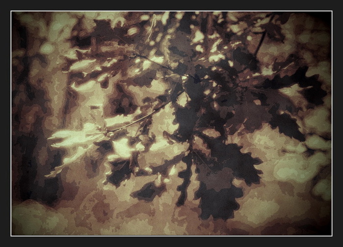 N_XXX (700x503, 125Kb)